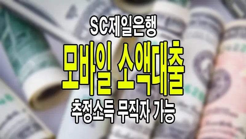 모바일 소액대출 SC제일은행 주부 무직자 추정소득으로 이용가능