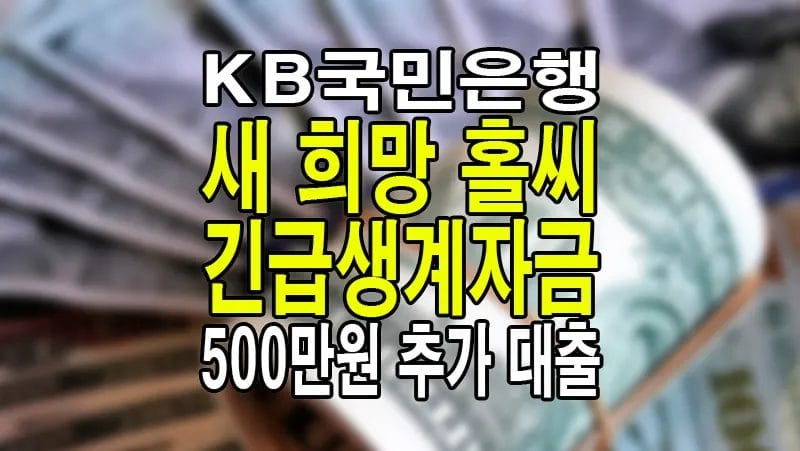 KB 새희망홀씨 긴급생계자금 500만 원 추가 대출