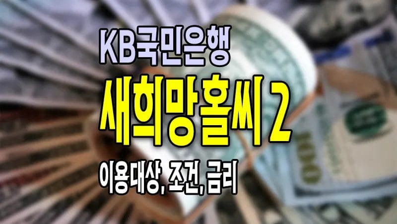 KB 국민은행 새희망홀씨2 대출 요약정리 신청방법