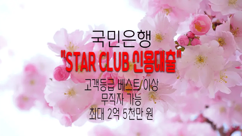 국민은행 STAR CLUB 신용대출, 마이너스통장, 무직자 가능